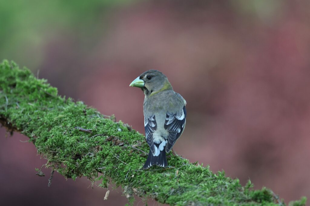 デスクワーク肩こりが3日で軽くなる『1分間オフィスヨガ』完全マニュアル