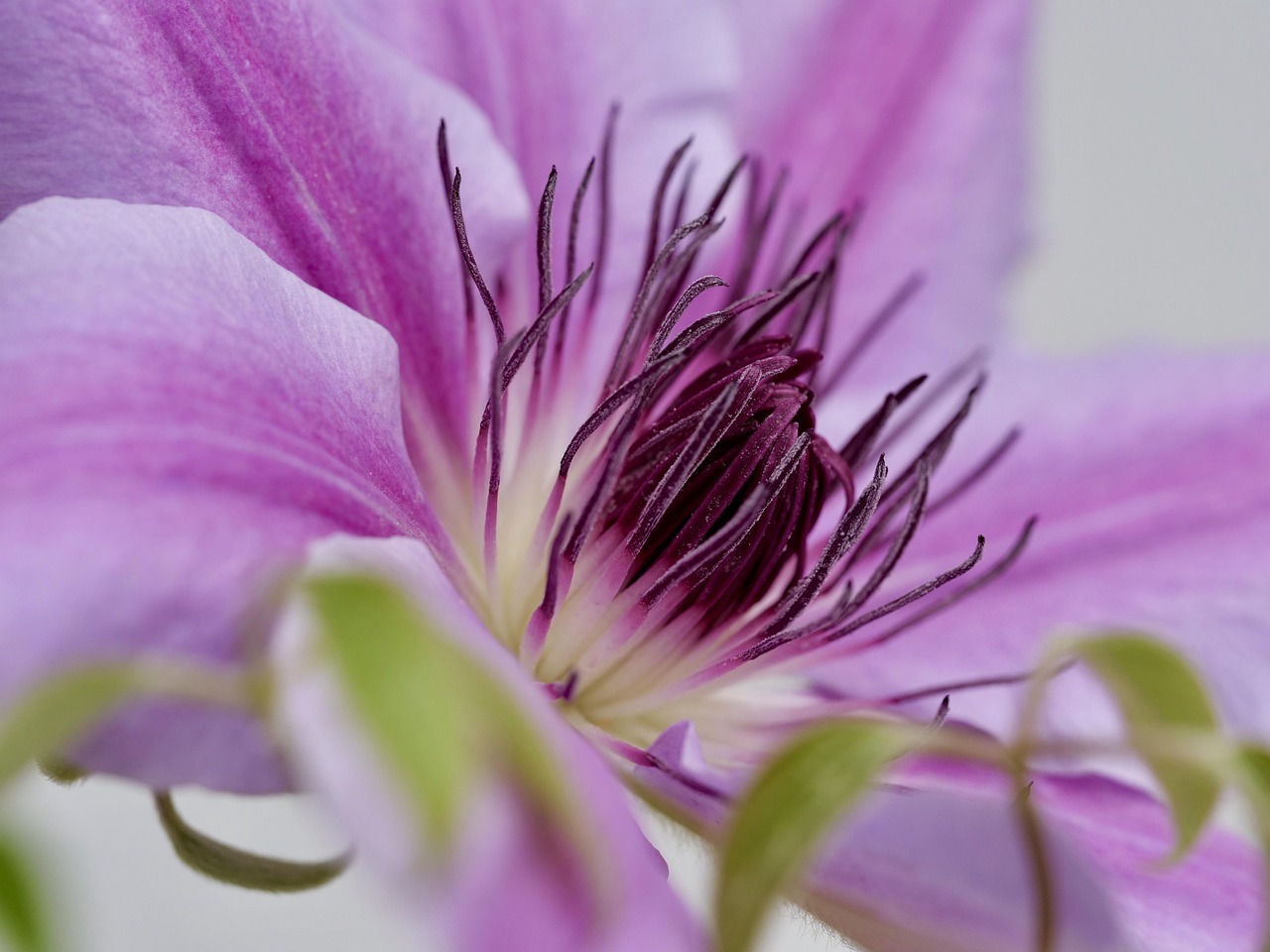 2025年12月 エアコン 掃除 ブラシ 隙間ブラシ 加湿器