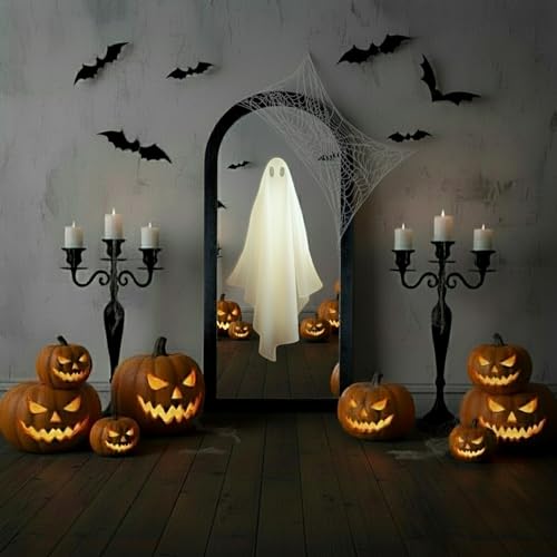 2025 ゴーストミラー ホログラム 実使用レビュー 2025年12月版