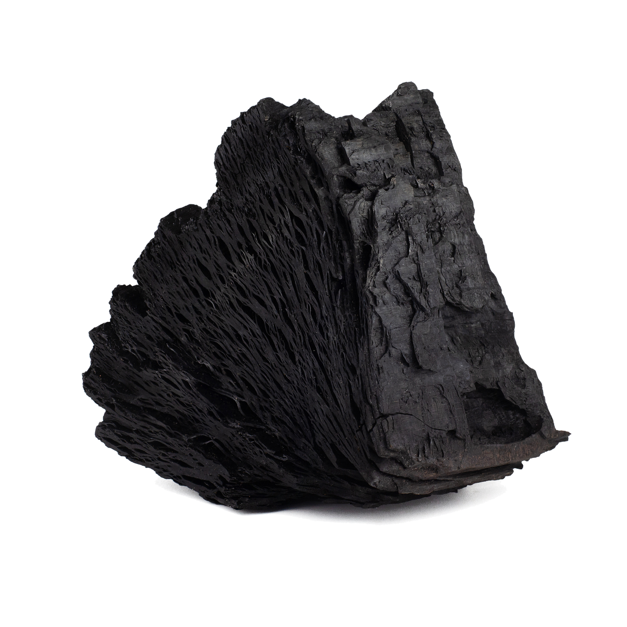 ATTITUDE 消臭剤 活性炭入り 実使用レビュー 2025年12月版