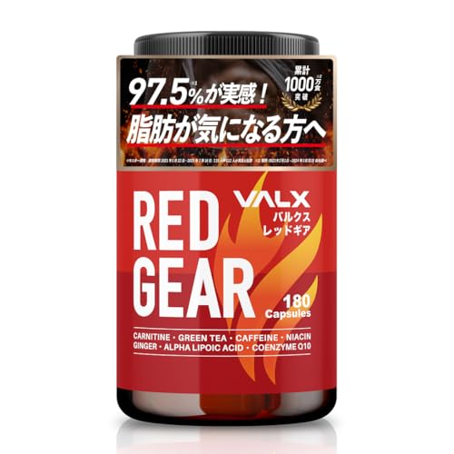 VALX バルクス RED GEAR 実使用レビュー 2025年12月版