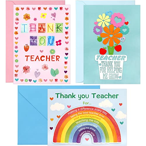 ceiba tree 先生 Thank 実使用レビュー 2025年12月版