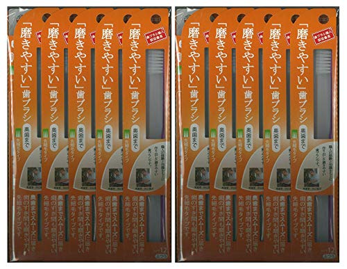 歯ブラシ職人 田辺重吉考案 実使用レビュー 2026年1月版