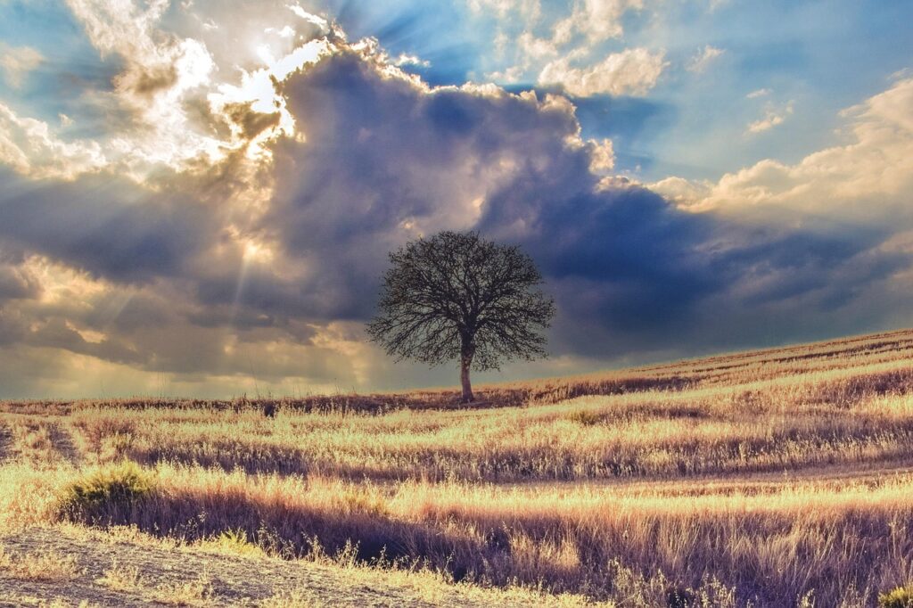 透明3Dシール180個を1ヶ月使ってわかったこと｜30代の手帳が宝石箱になった