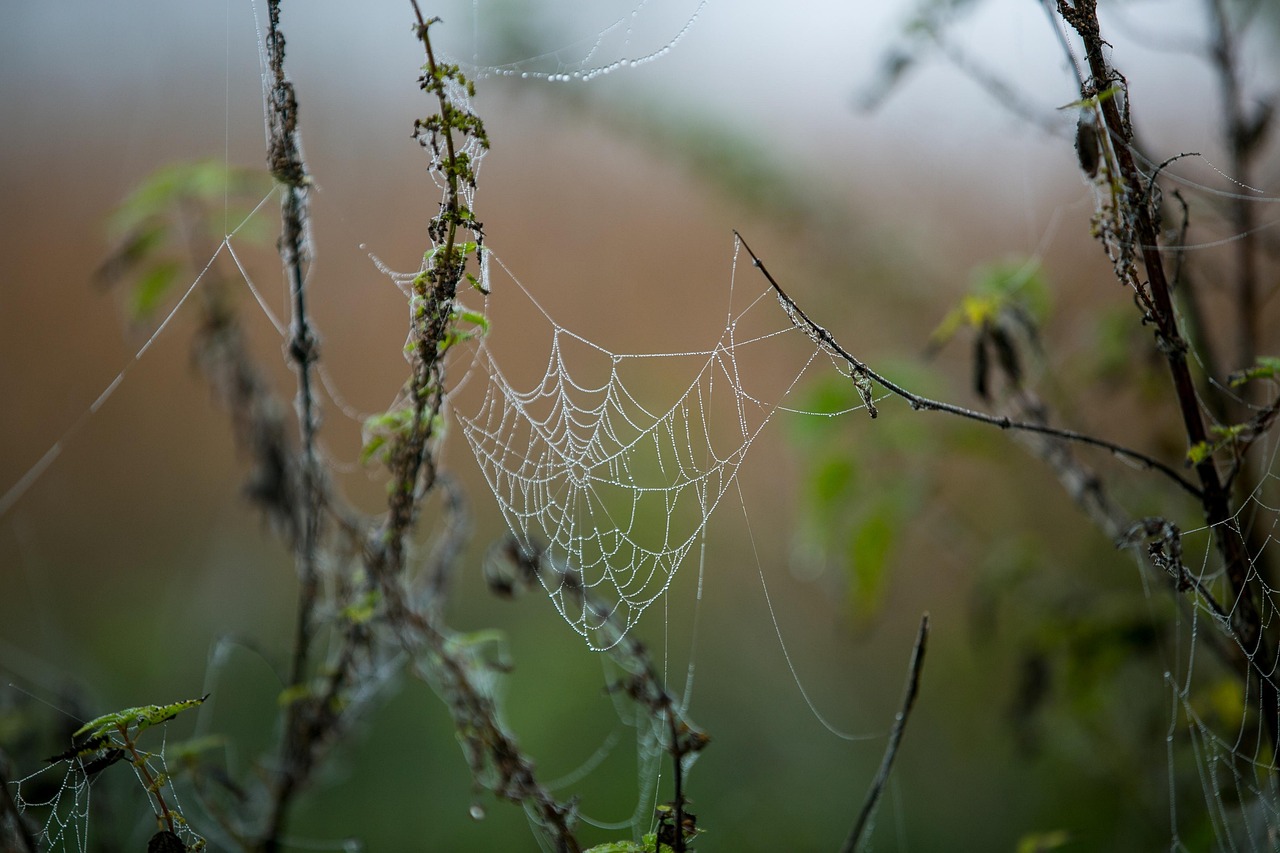 独立や開業は、始める前にほぼ勝敗が決まっている