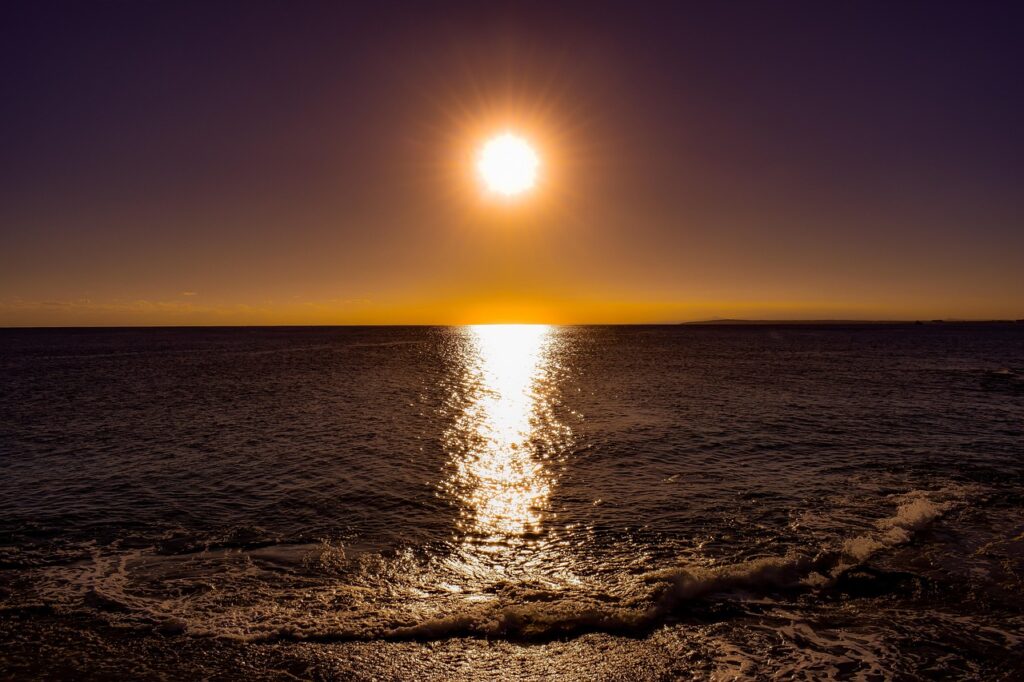 選挙を楽しむ方法2026 〜真冬の激戦を120%エンジョイする完全ガイド〜