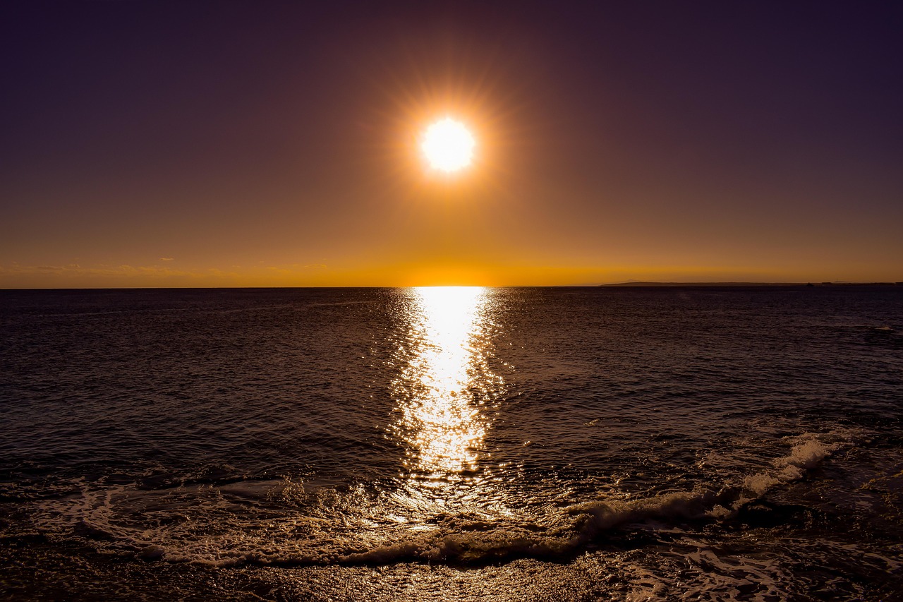 選挙を楽しむ方法2026 〜真冬の激戦を120%エンジョイする完全ガイド〜