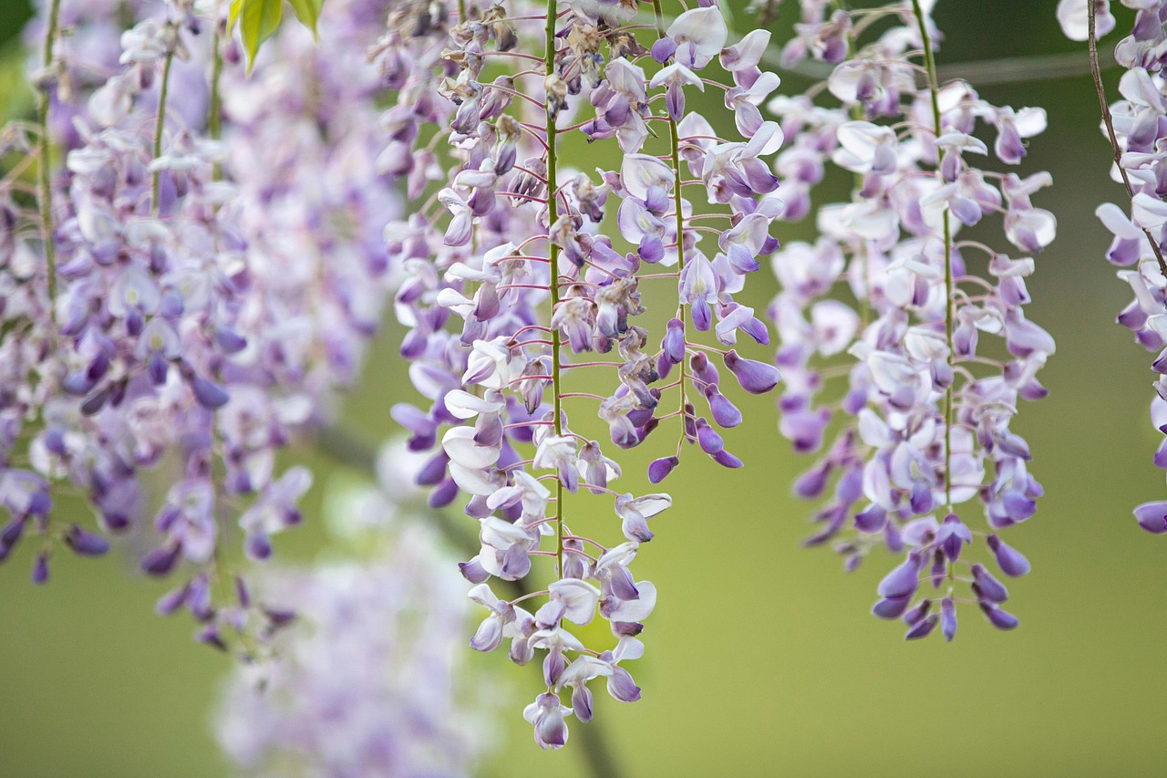 920gのWindows PCが、バッグ選びの基準を変えた話